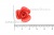 Украшение "Розы малые №1" 20мм - купить в Нижнекамске. Цена: 32.49 руб.