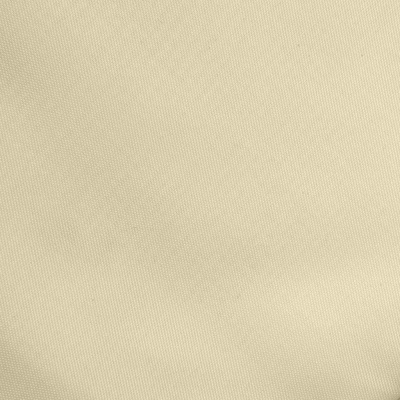 Ткань подкладочная Таффета 14-1014, антист., 53 гр/м2, шир.150см, цвет бежевый - купить в Нижнекамске. Цена 62.37 руб.
