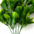 Трава искусственная -1, шт (эвкалипт лист 32 см/8 см)				 - купить в Нижнекамске. Цена: 169.93 руб.