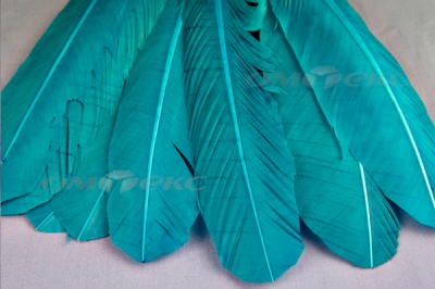 Декоративный Пучок из перьев, перо 24см/голубой - купить в Нижнекамске. Цена: 12.19 руб.