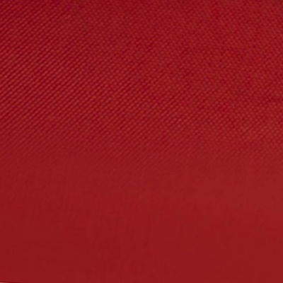 Ткань подкладочная Таффета 19-1656, антист., 54 гр/м2, шир.150см, цвет вишня - купить в Нижнекамске. Цена 65.53 руб.