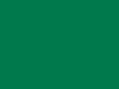 85 см № 258 яр. зеленый спираль (G) сорт-2 - купить в Нижнекамске. Цена: 16.97 руб.