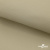 Ткань подкладочная TWILL 230T 14-1108, беж светлый 100% полиэстер,66 г/м2, шир.150 cм - купить в Нижнекамске. Цена 90.59 руб.