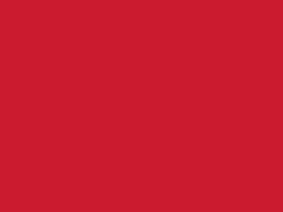 Сетка подкладочная красный, 60г/м2 (10 м/кг) - купить в Нижнекамске. Цена 885.73 руб.
