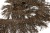 008-коричневый, Бахрома арт.001 шир.10см (упак.12+/-0,5м) - купить в Нижнекамске. Цена: 1 017.33 руб.