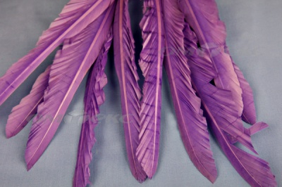Декоративный Пучок из перьев, перо 25см/фиолетовый - купить в Нижнекамске. Цена: 12.19 руб.