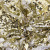 Трикотажное полотно, Сетка с пайетками, шир.130 см, #315, цв.-белый/золото - купить в Нижнекамске. Цена 693.39 руб.