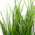 Трава искусственная -4, шт  (осока 50 см/8 см  7 листов)				 - купить в Нижнекамске. Цена: 130.73 руб.