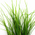 Трава искусственная -3, шт (осока 50 см/8 см  5 листов)				 - купить в Нижнекамске. Цена: 124.17 руб.