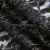 Кружевное полотно XD LACE 1-4, 80 гр/м2, шир.150см, цвет чёрный - купить в Нижнекамске. Цена 245.94 руб.